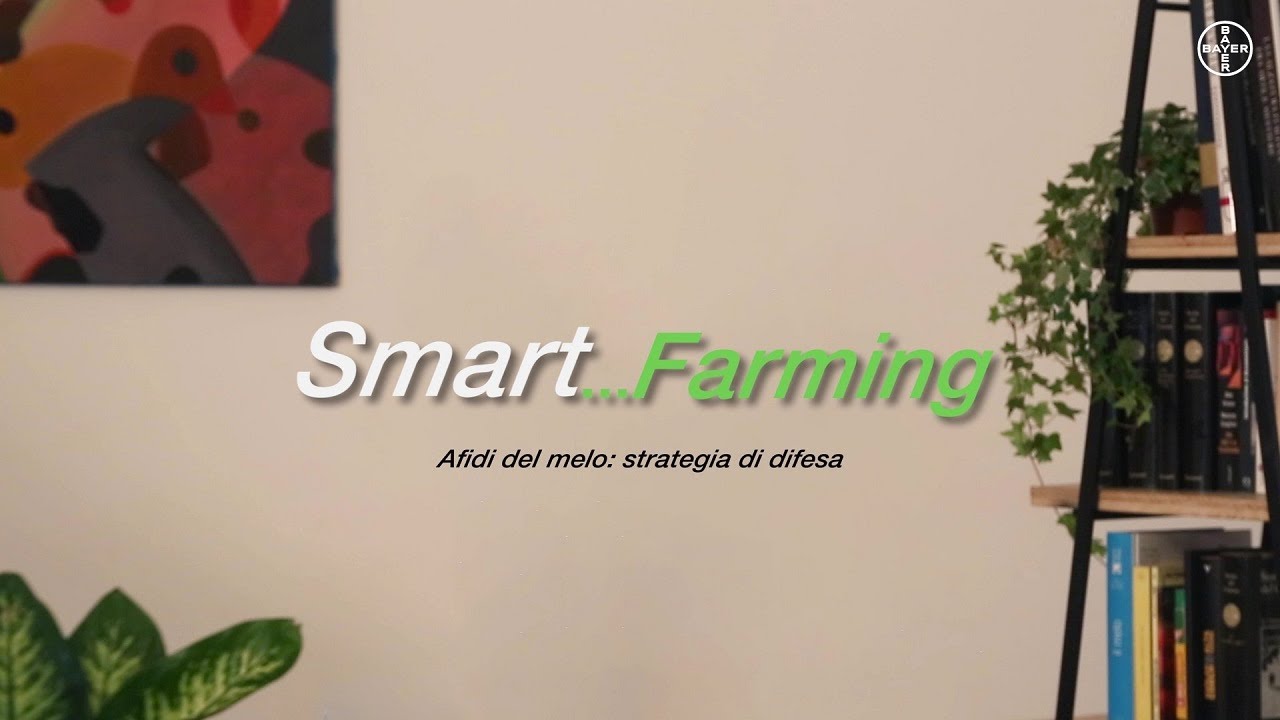 Smart...Farming - Afidi del melo: strategia di difesa