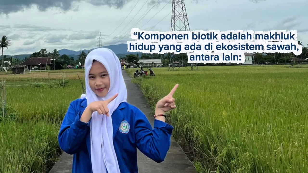 Tugas Biologi komponen biotik dan abiotik di ekosistem sawah (padi). Alena Novianti X.J 