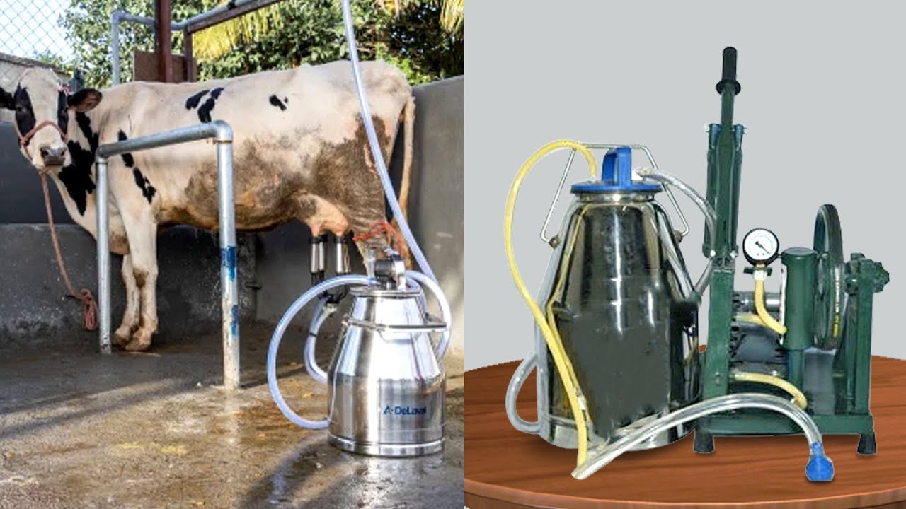दूध निकलने की मशीन | Milking Machine | 2 in 1 Milking Machine  | Milk machine | Toolsvilla