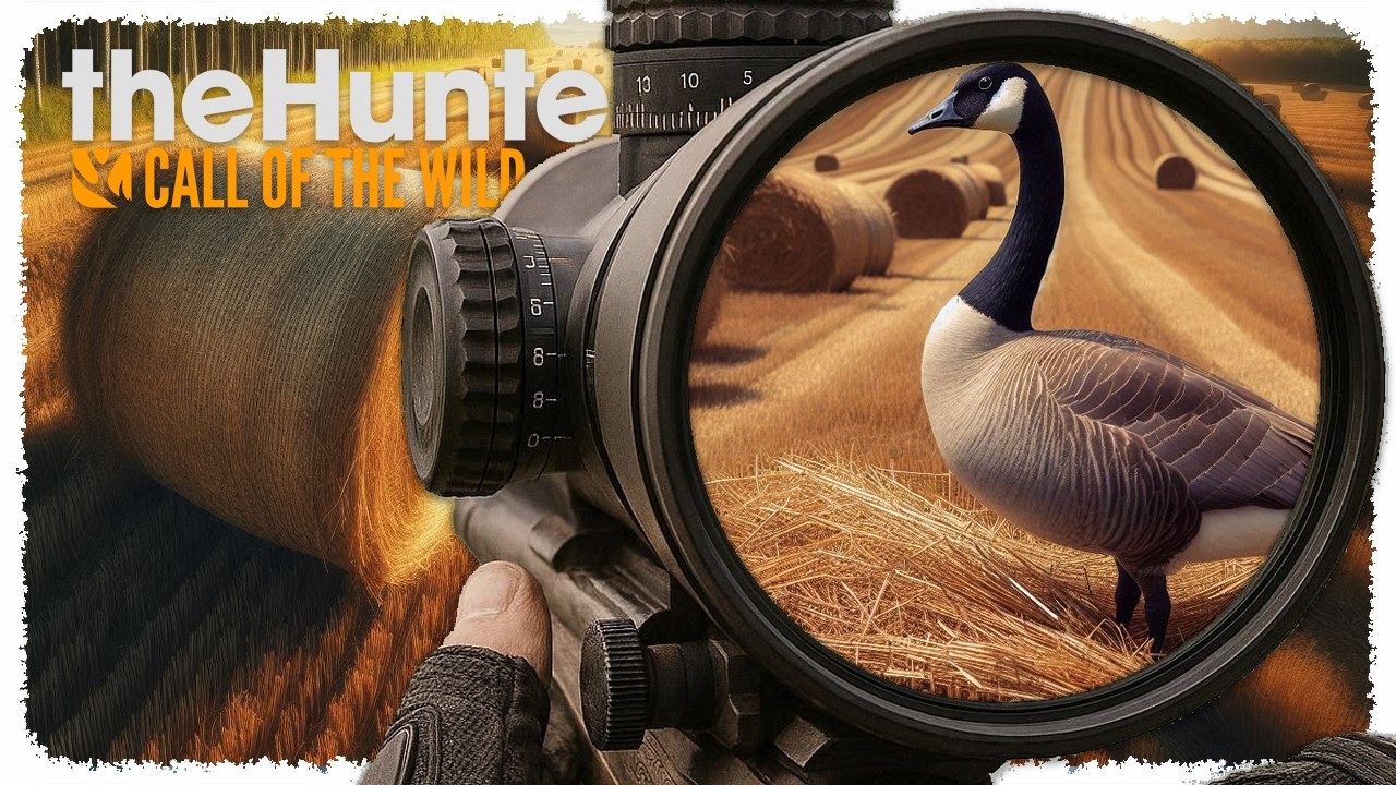 🦌 Bernikla Kanadyjska! [Hirschfelden] 😃 theHunter: Call of the Wild #01 [PL] 👍