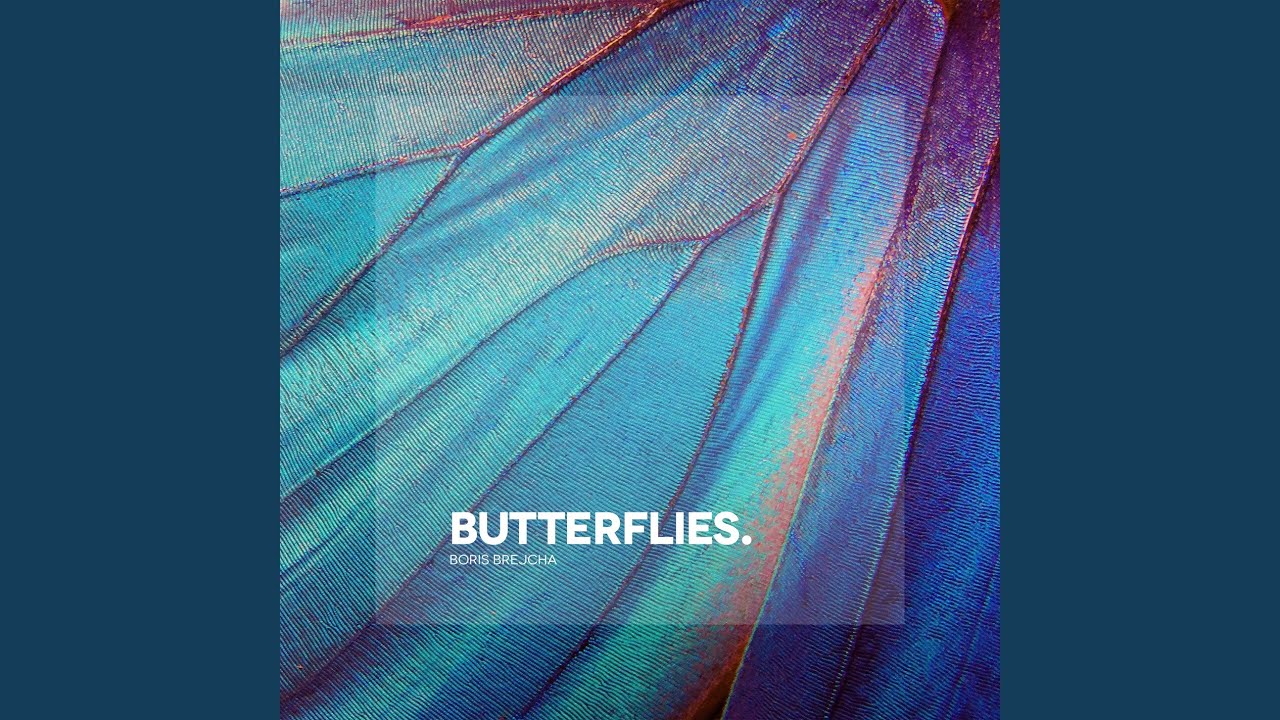 Butterflies