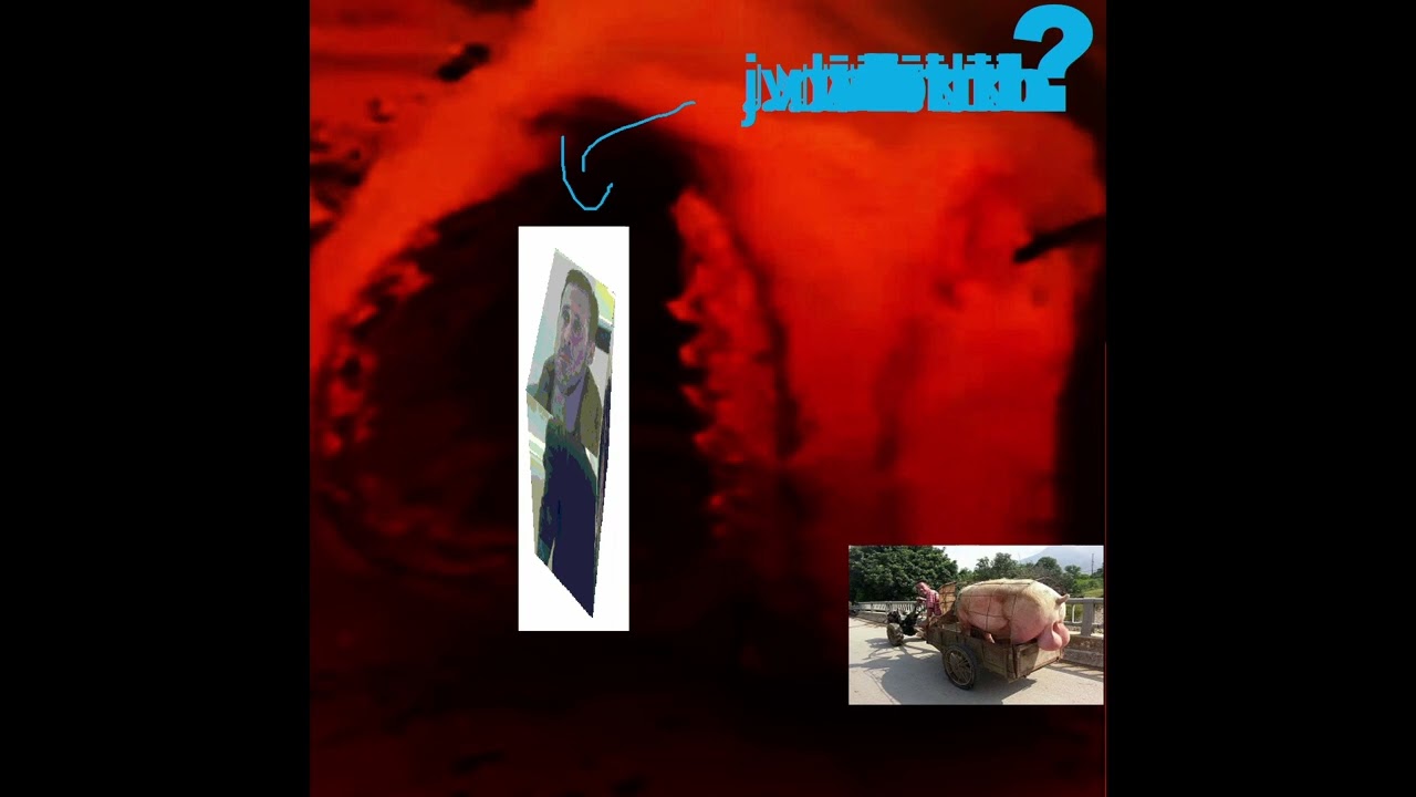 shark attack in the aquarium