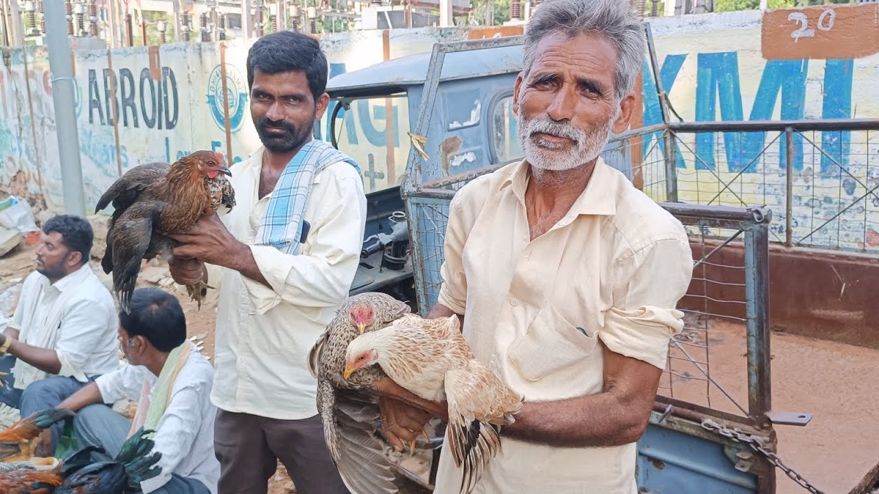 Erragadda Sunday pets and bird market Telangana Hyderabad 18/8/2024