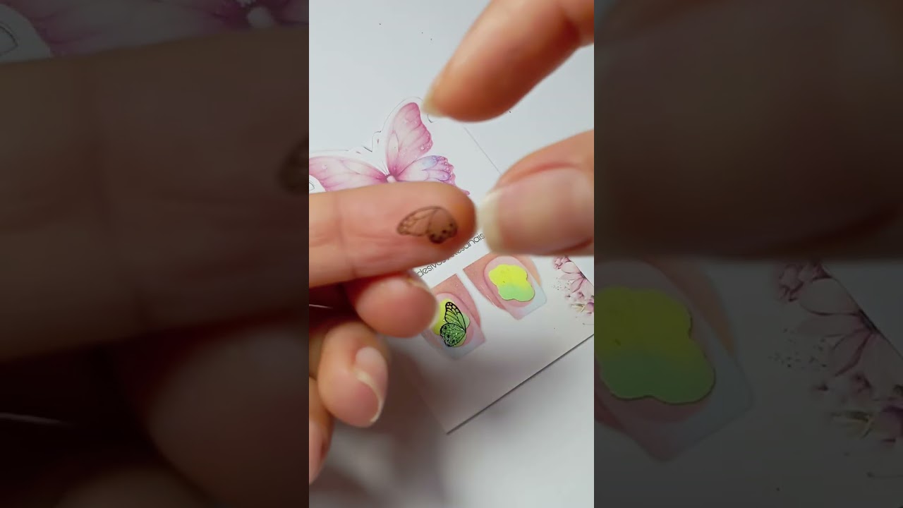 BORBOLETA COM O FUNDO ESPONJADO .
