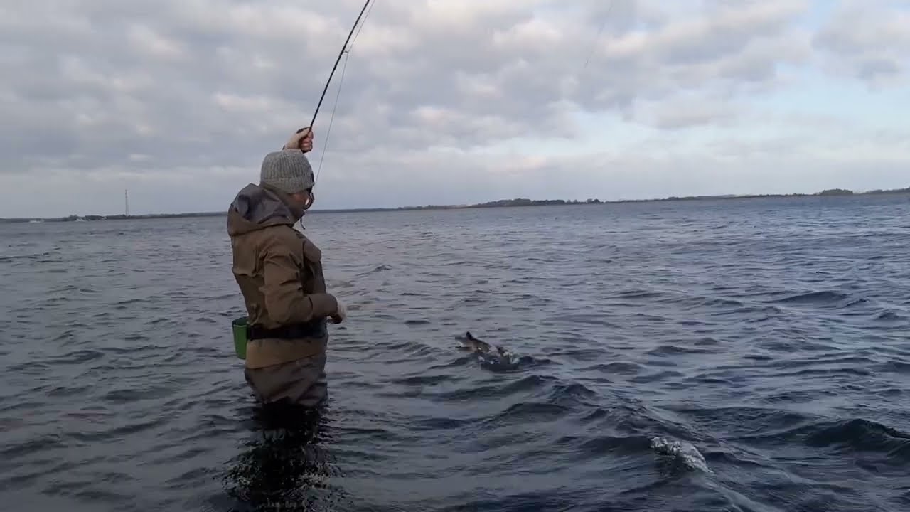 fly fishing for pike at Rügen Germany / Fliegenfischen auf Hecht auf der Insel Rügen