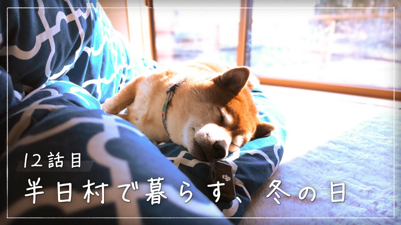 半日村で迎えた冬至｜八ヶ岳の平屋で暮らす柴犬の静かな一日