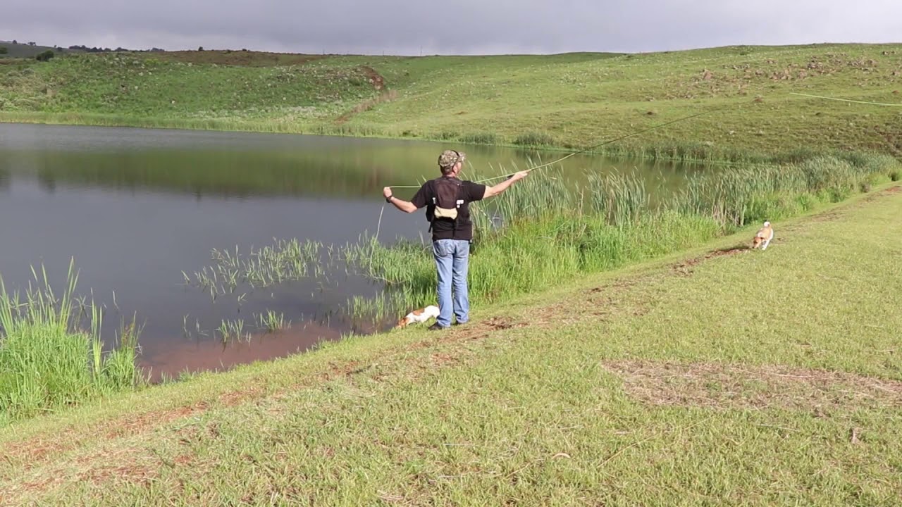 400 HA Dullstroom