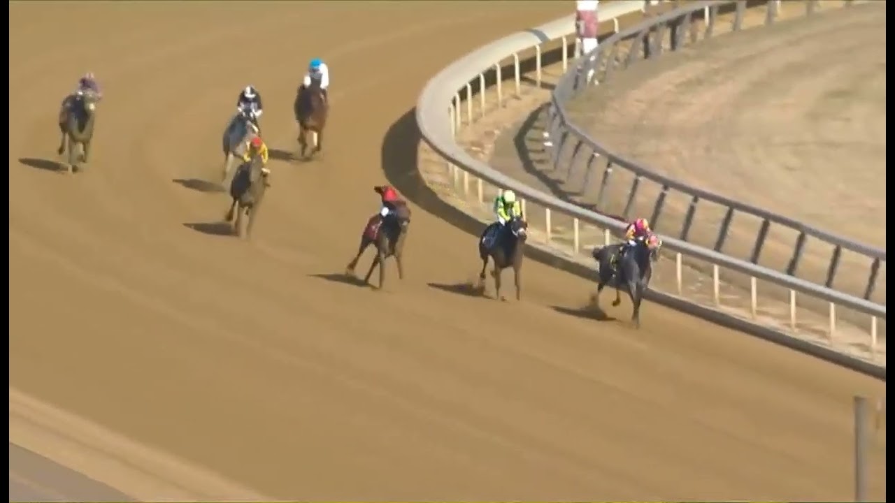 Акведук R1, США, 31 декабря 2025 г.