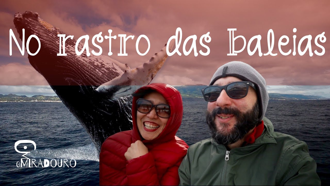 Passeio EMOCIONANTE com baleias e golfinhos | Na Rota dos Açores ep. 3 | Portugal