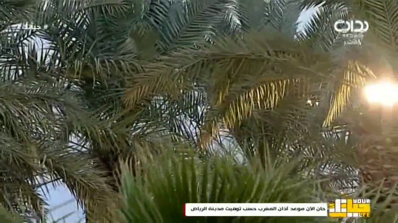 آذان المغرب - محمود فلاح | #حياتك7