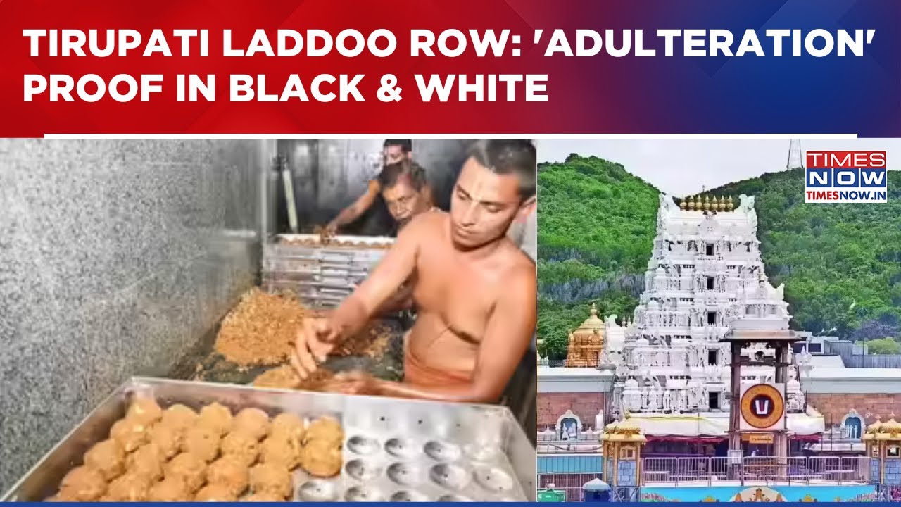 Tirupati Prasadam Row: CFTRI Report Finds Evidence Of Ghee Adulteration In Tirupati Laddus | WATCH