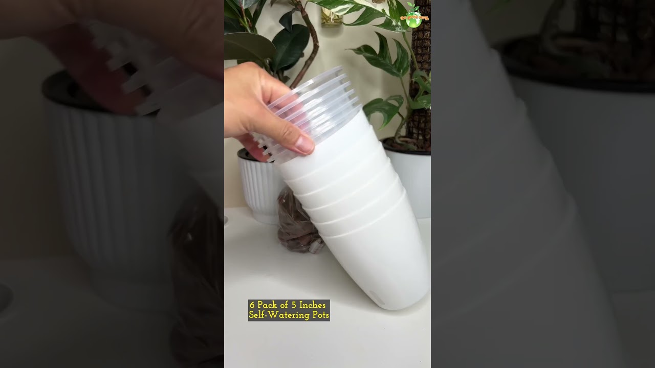 Let&rsquo;s Unbox my Favorite Self-Watering Pots for Indoor Plants #thegreenearth #youtubeshorts #shorts