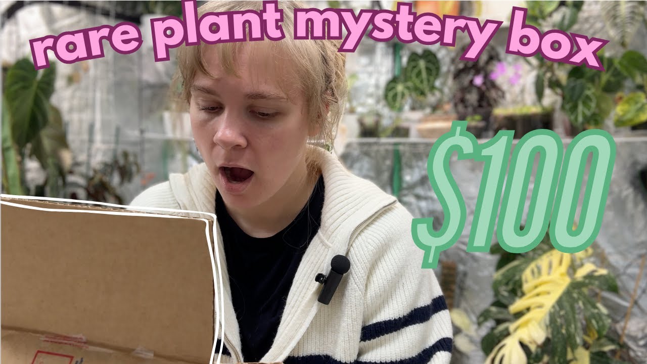 I bought a rare plant mystery box and it blew my mind!