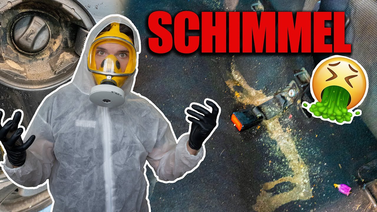 HORROR BMW Schimmel Katastrophe ! EKELGEFAHR!  | Desaster Detailing Extrem
