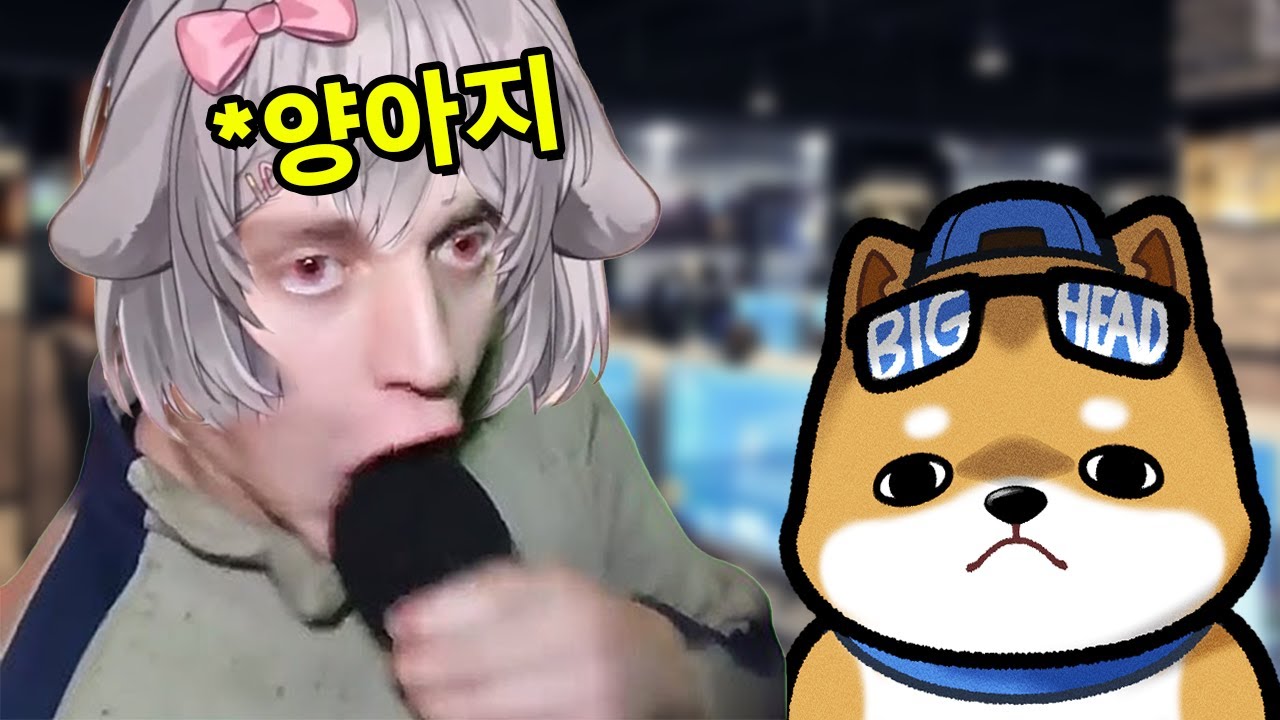 양아지한테 마이크 먹이기