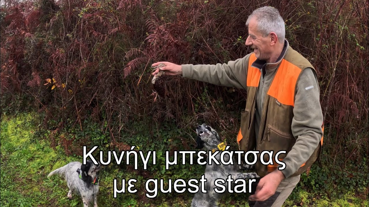 Κυνήγι μπεκάτσας με guest star ⭐️ - Balos Team 