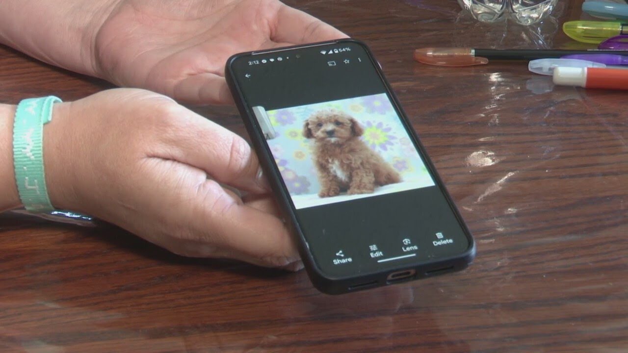 Better Business Bureau warns against 'puppy scams'