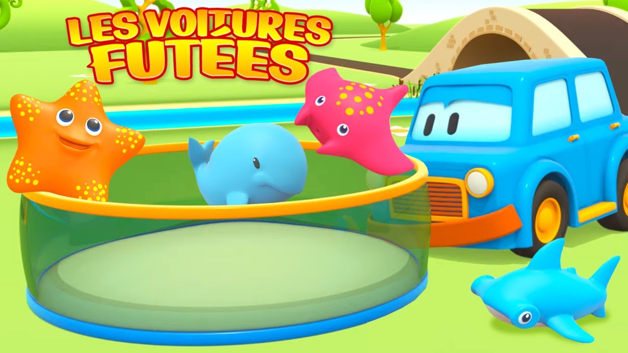 Les voitures futées. La piscine pleine de jouets. Dessin animé éducatif pour enfants.