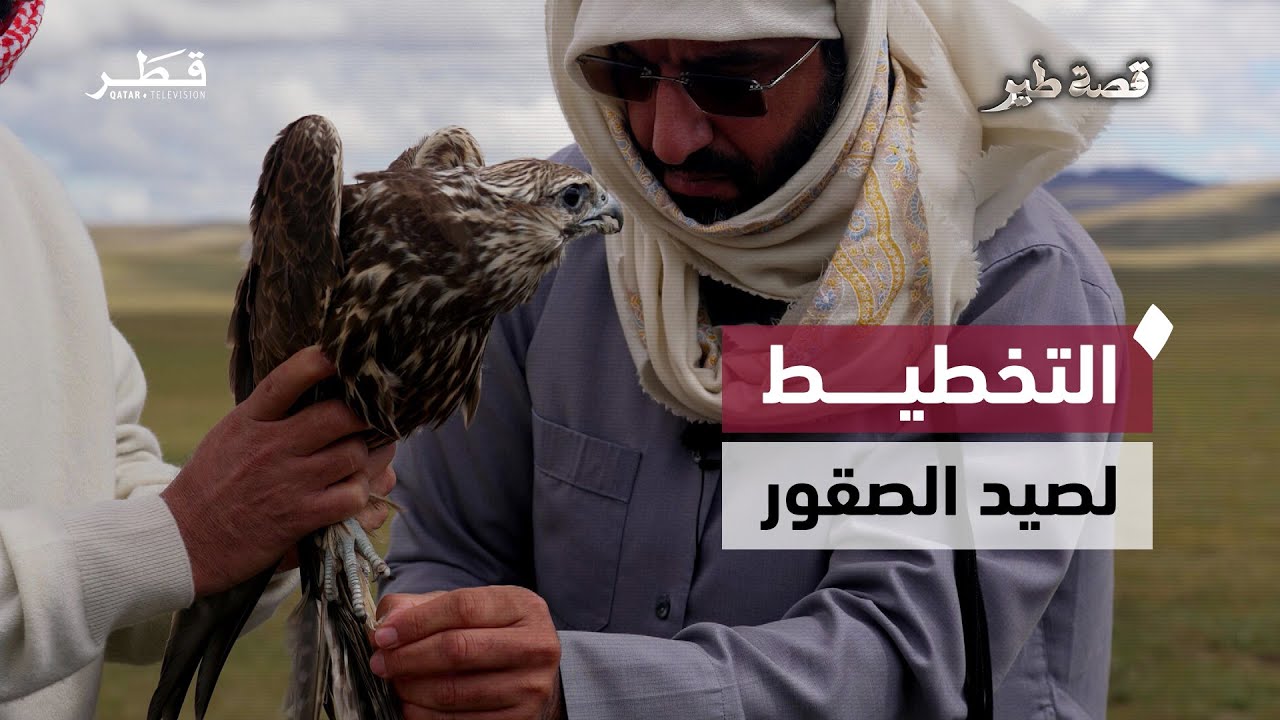 رحلة صيد الصقور في بر منغوليا… مغامرة تجمع بين التحدي والخبرة | قصة طير