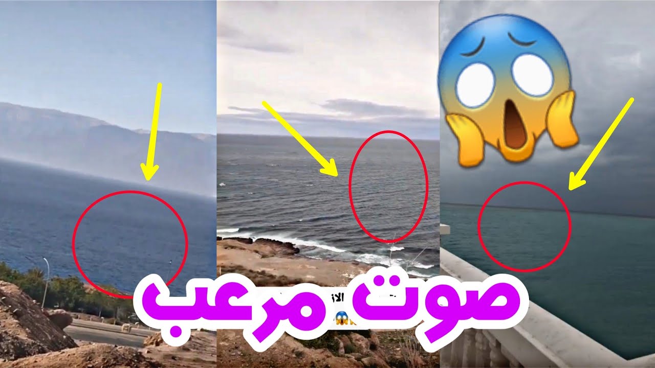 الحوت الأزرق الذي أرعب العالم بصوته أخيرا يظهر لن تصدقوا حجمه