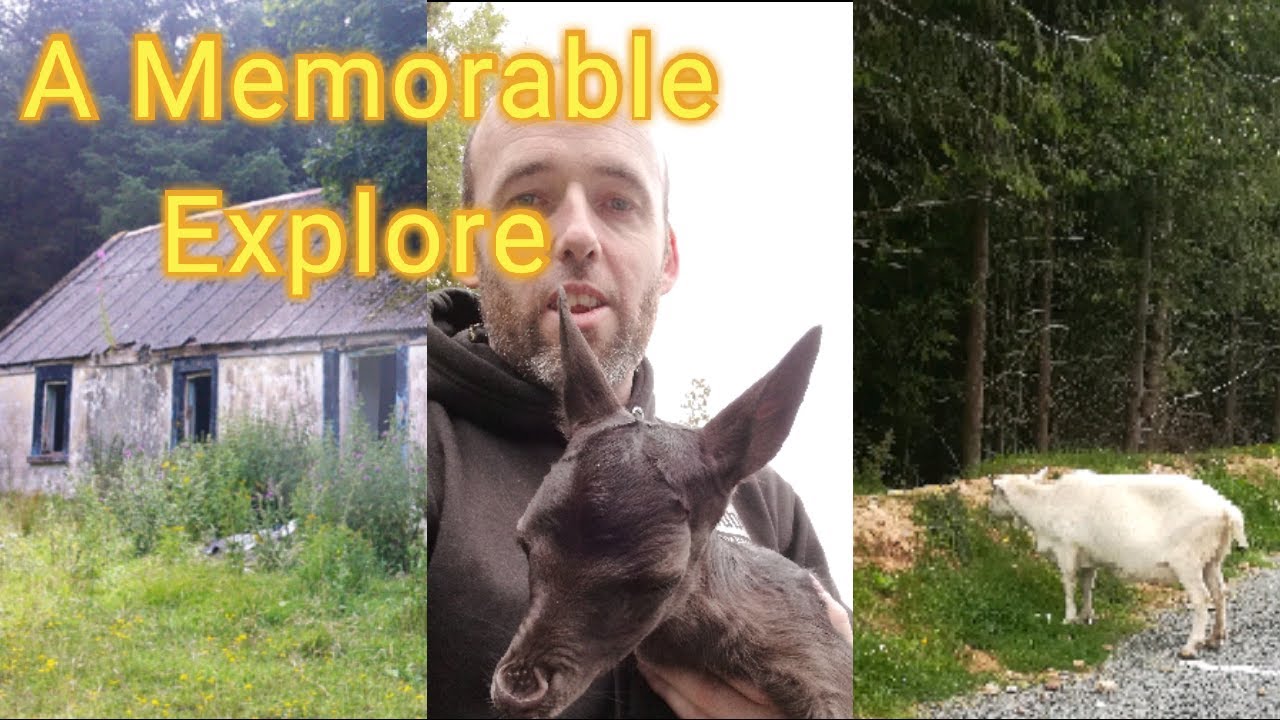 Lough Curra Cave Military Trench Deer abandoned Forest House And More In Glencush County Tipperary