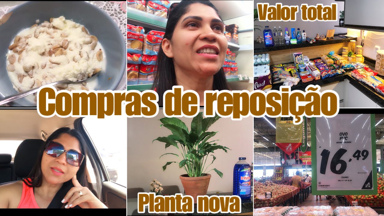 Compras de reposição no Atacadão🛒| planta nova 🪴