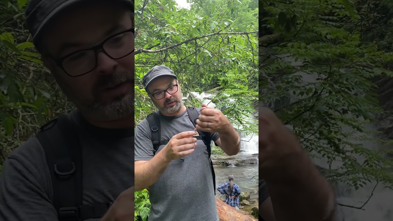 Conasauga Falls Worm Snake #herping #wormsnake #waterfall