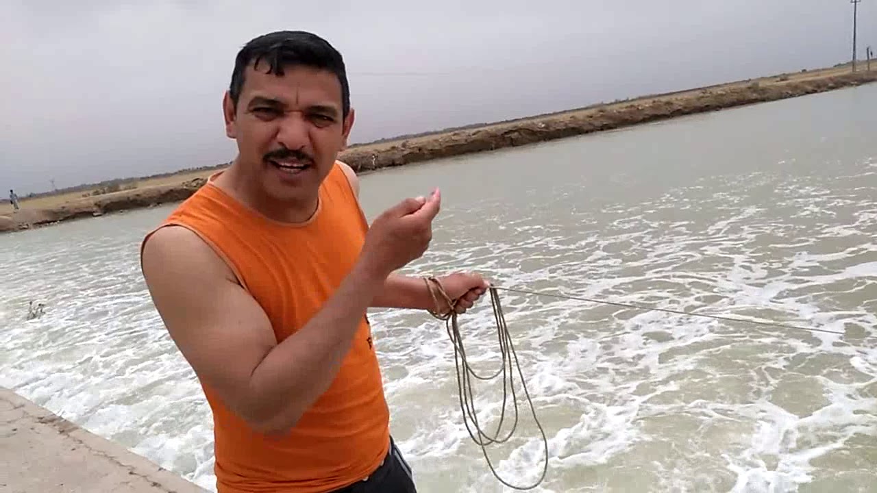 صيد الأسماك