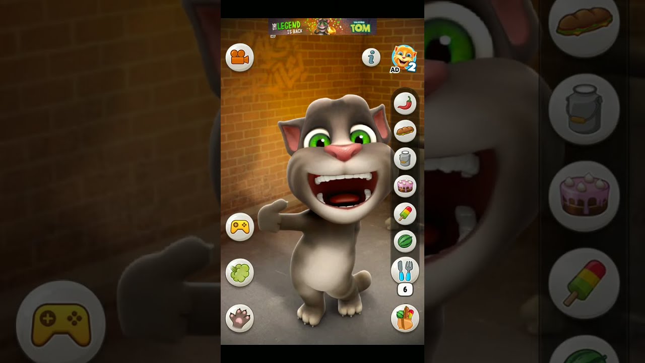 talking tom cat live