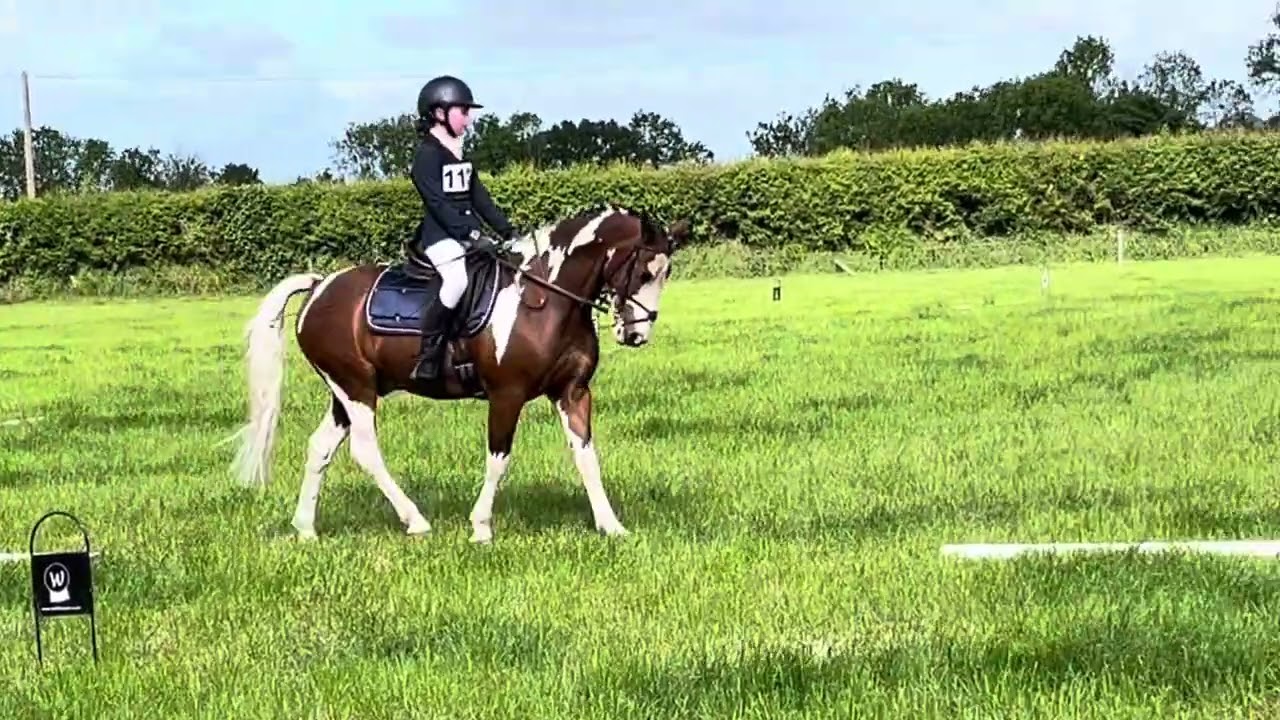 Junior Pony Club Eventing Dressage