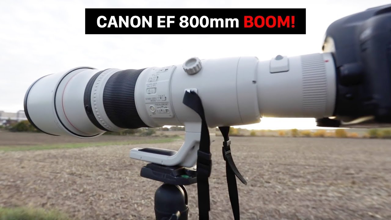 $13,000 mega lens | Canon 800mm f/5.6L IS USM | best wildlife lens