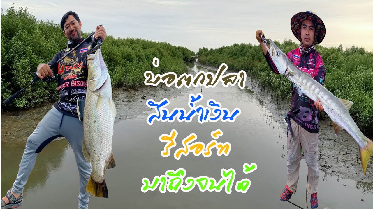 บ่อตกปลาสินน้ำเงินรีสอร์ท บ่อโครตกว้างต้องหวดด้วยคัน BisonS2 8.6ฟุต #bison #akan #fishing #s2 #ตกปลา