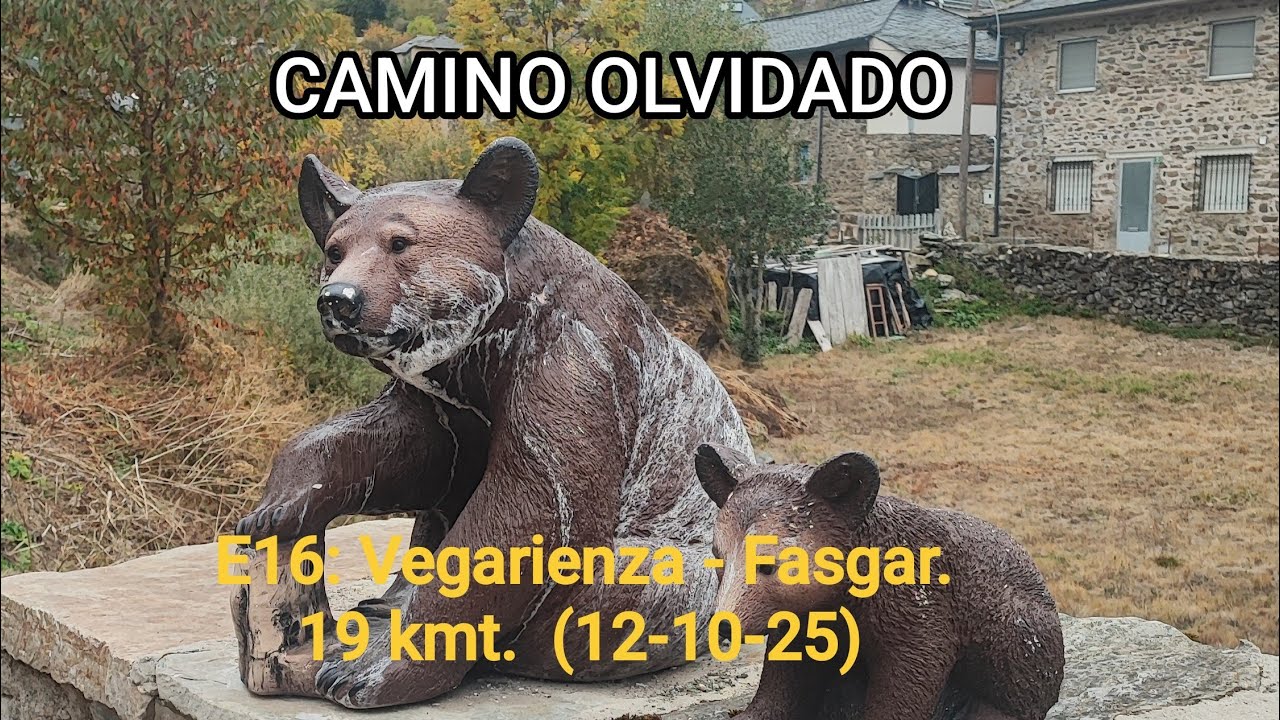 CAMINO OLVIDADO. E16 Vegarienza-Fasgar. 19 kmt (12-10-25)