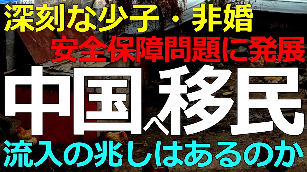 経済）2026-01-25 少子化で問題多発の中国へ移民の流入は起きているのか？今後の展開予想も含めて解説します