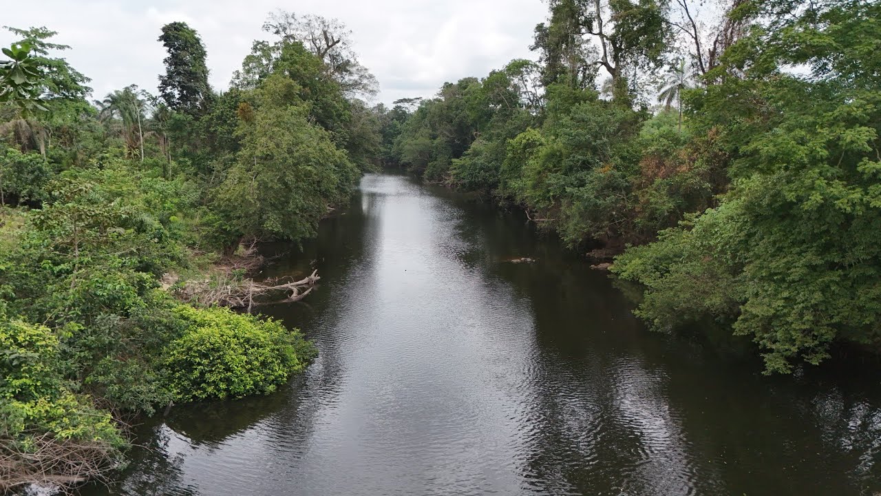 River view Farm land for sale in Liberia, Residential land for sale in Lib, apartment for rent.