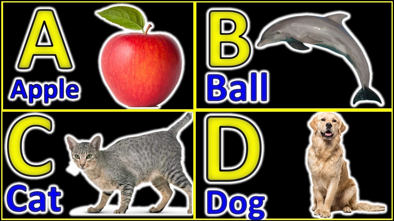 A For Apple - B for ball -C for cat| ABC Alphabet-ABCD Alphabet | A to Z letters |@prinit