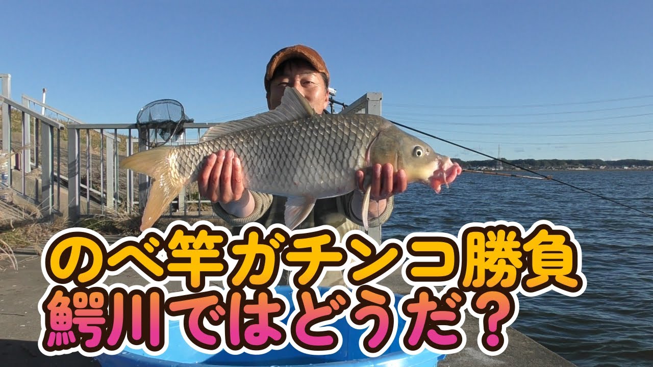 渡辺武の一緒に♥鯉釣りしませんか？のべ竿ガチンコ勝負第二弾！水郷鰐川の鯉ちゃんと腕比べ！勝負いかに？の巻き～
