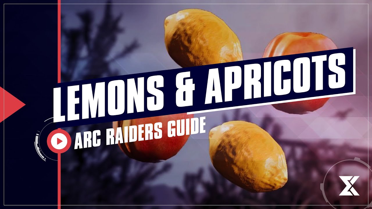 Как получить лимоны и абрикосы (второе улучшение Скрэппи-Петуха) в ARC Raiders