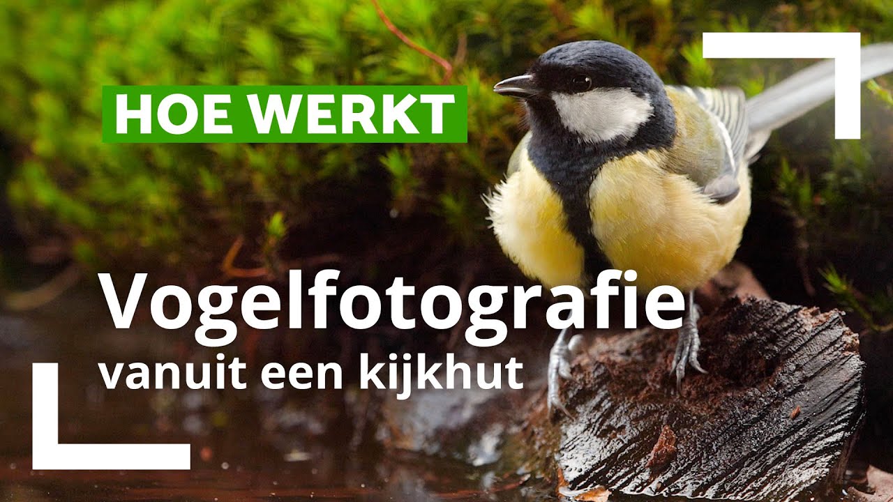 Hoe fotografeer je vogels vanuit een kijkhut door Edo van Uchelen | CameraNU.nl