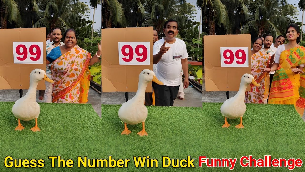 Guess The Number Win Duck Funny Challenge 😛| সংখ্যা অনুমান করুন হাঁস জয় করুন 🤔/ SK Challenge Video
