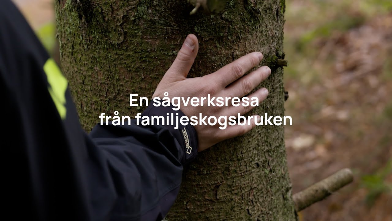 En sågverksresa från familjeskogsbruken