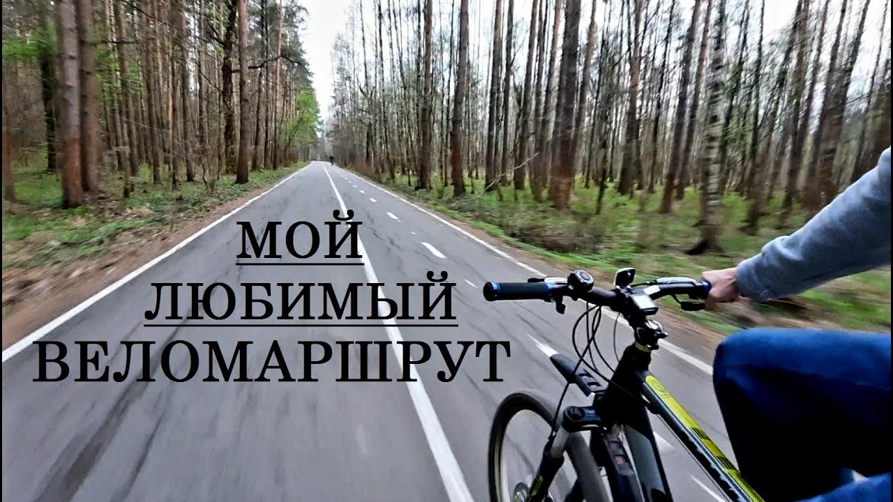 Мой любимый веломаршрут | по Лосиному острову до Королёва