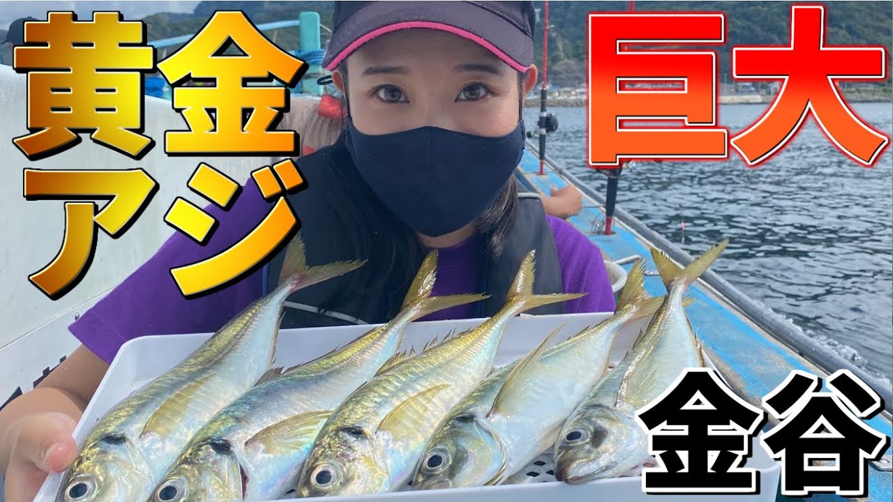 【アジ釣り】今が旬!!東京湾金谷の黄金アジが巨大すぎた!!思う存分釣って食を堪能する!【光進丸】【釣りガール】【ブランドアジ】