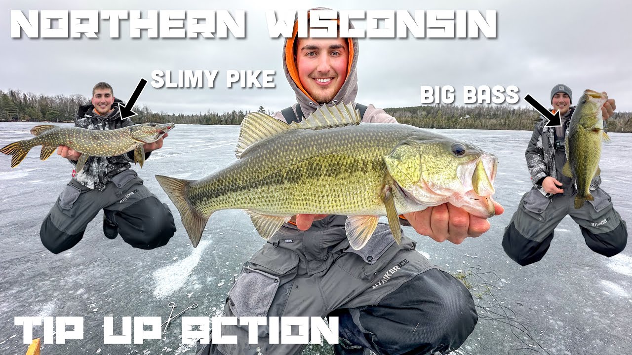 Ice Fishing Northern Wisconsin with Tip Ups for BIG Bass and SLIMY Pike INSANE ACTION (12-29-2024)