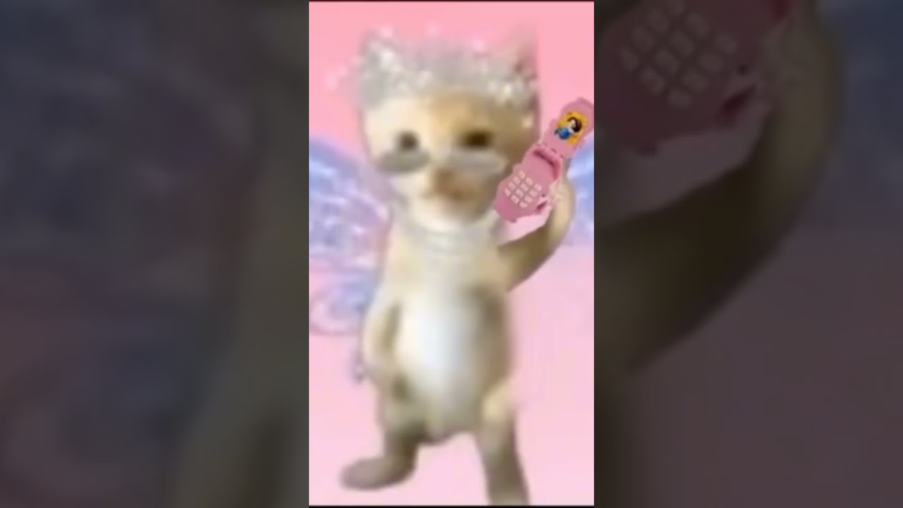 ayayay I'ma little butterfly