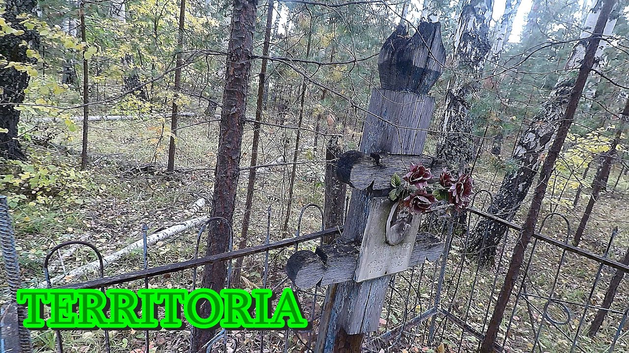 Старое кладбище в лесу. Кладбище заброшенной деревеньки, даже тропинки к нему нет.