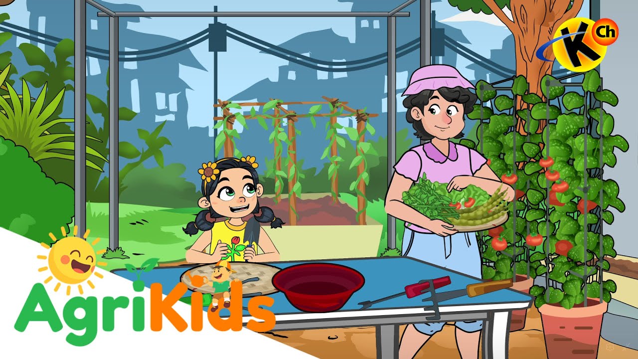 Halamang Ornamental | AgriKids