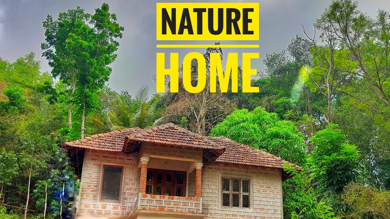 Low cost house I Eco-friendly natural home I Kerala traditional house covered by trees