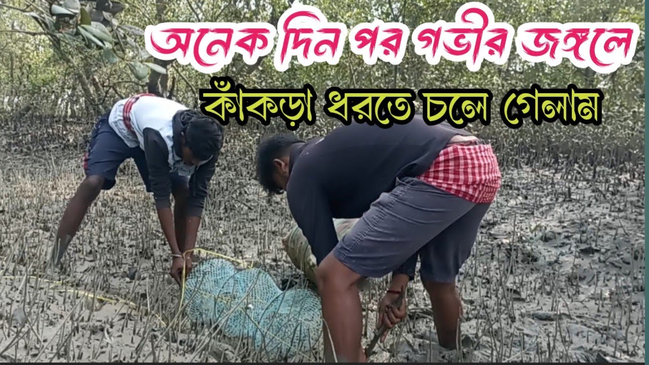 অনেক দিন পর গভীর জঙ্গলে কাঁকড়া ধরতে গেলাম/Aporup sundarbon অপরূপ সুন্দরবন 