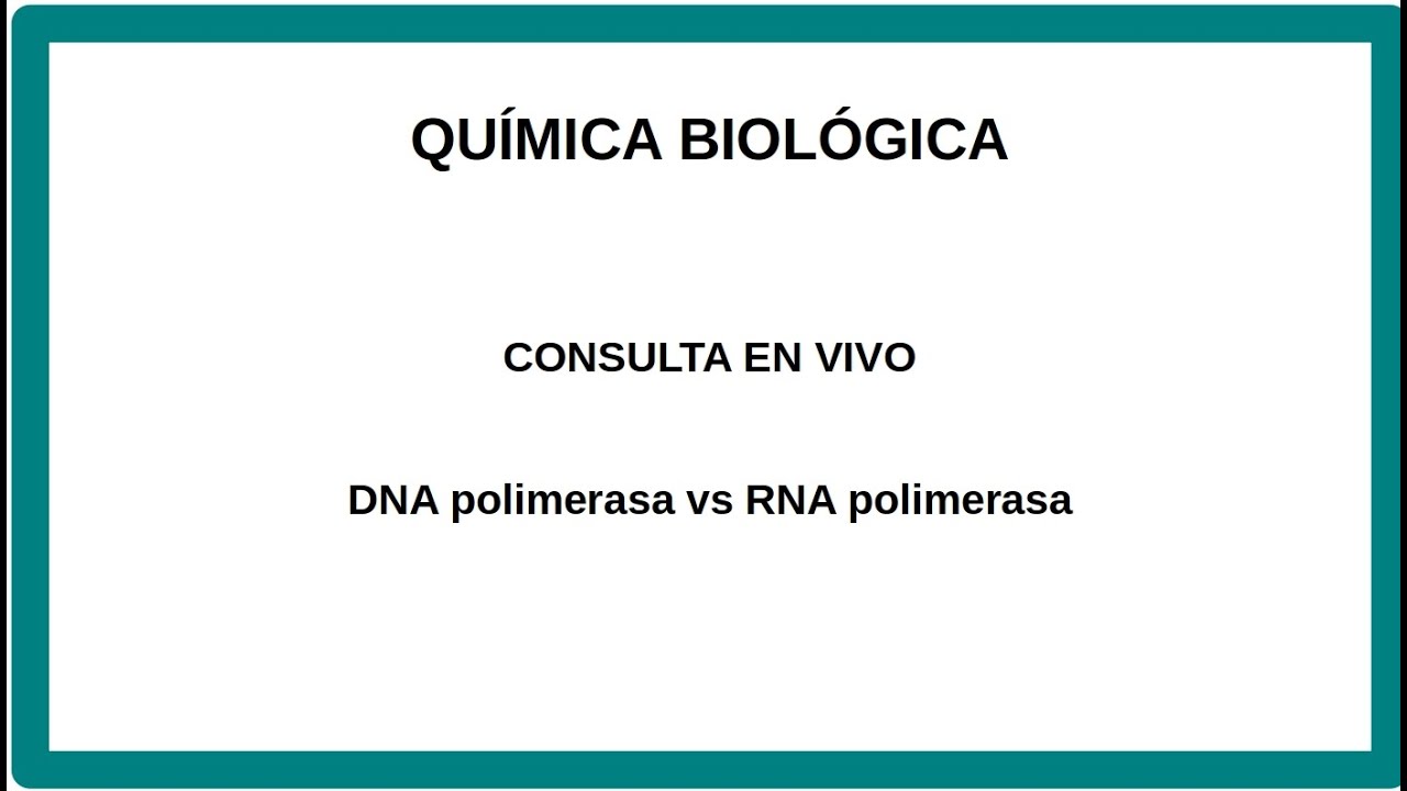 DNA polimerasa vs RNA polimerasa
